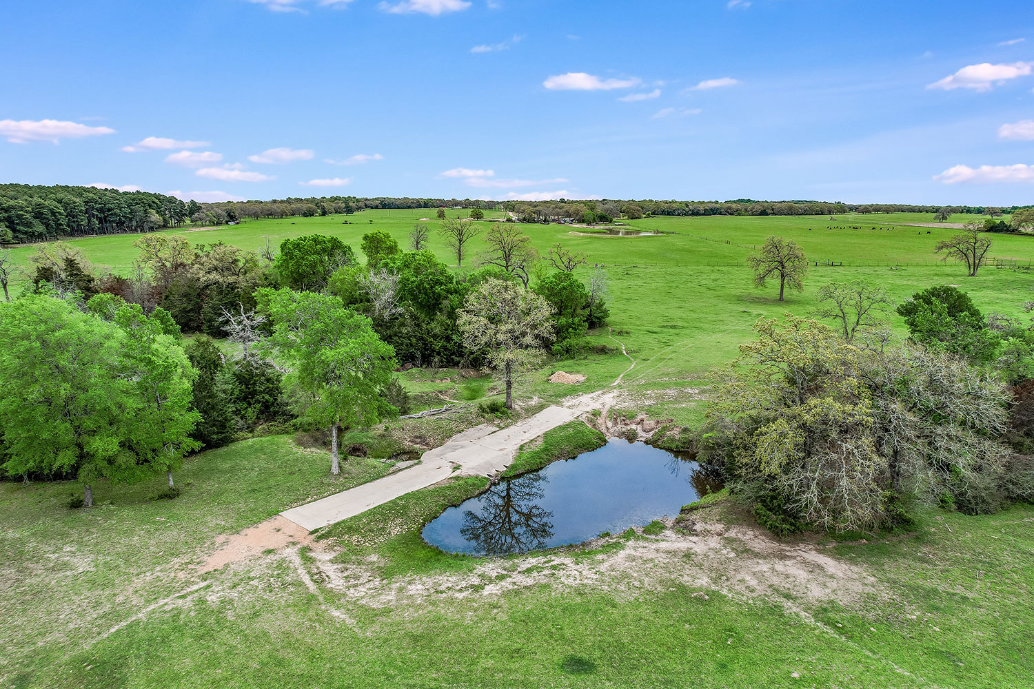 055_Aerial 5